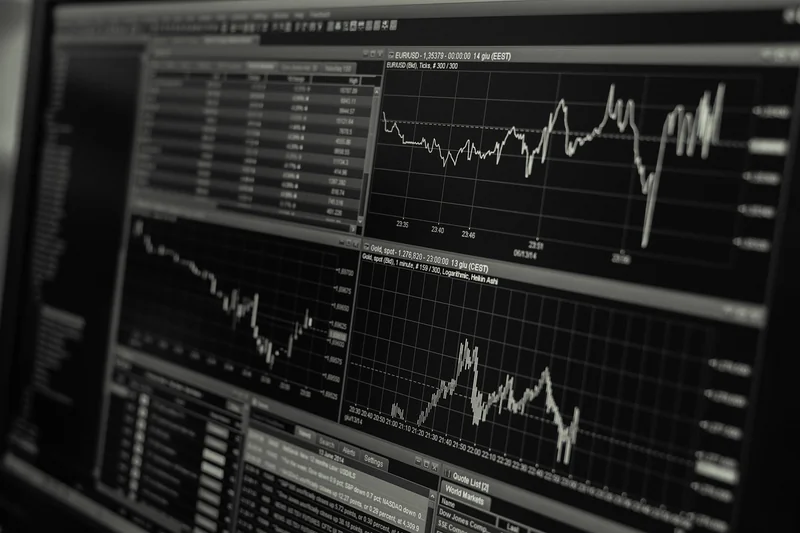 L'analyse de marché en immersion totale
